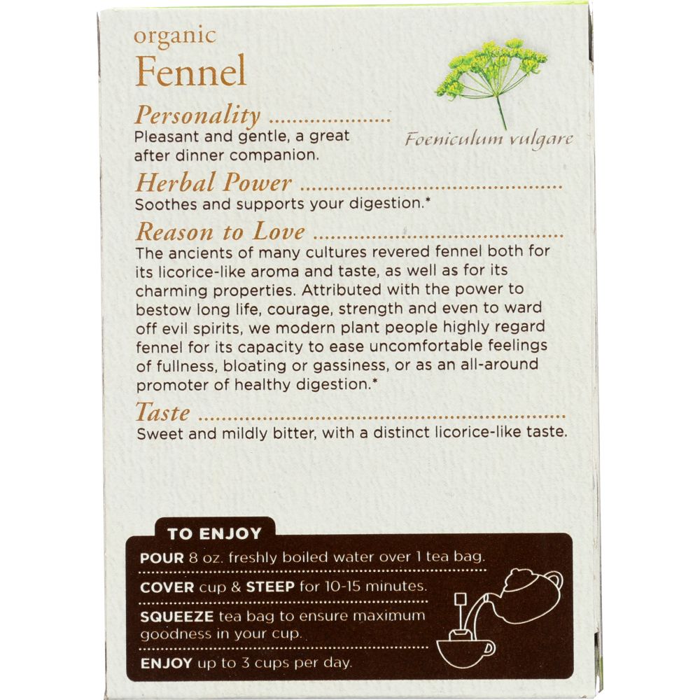 TRADITIONAL MEDICINALS: Tea Fennel Organic, 1.13 oz