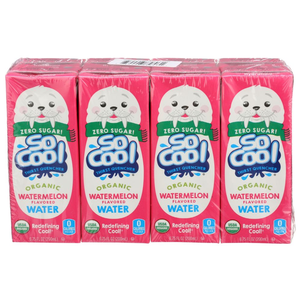 SO COOL THIRST QUENCHER: Water Watermelon No Sugar, 54 fo