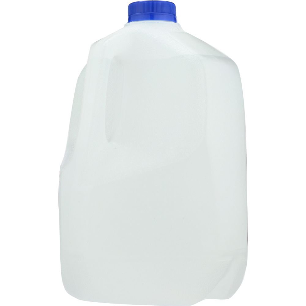 ALKAME: Water Kids, 1 gal