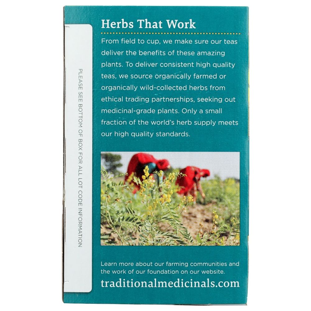 TRADITIONAL MEDICINALS: Tea Chai Dandelion Prbtic, 16 bg