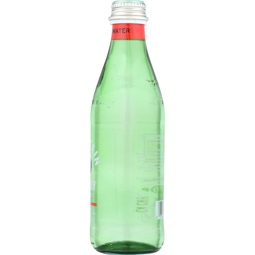 MOUNTAIN VALLEY: Water Spring Prem Glss, 333 ml