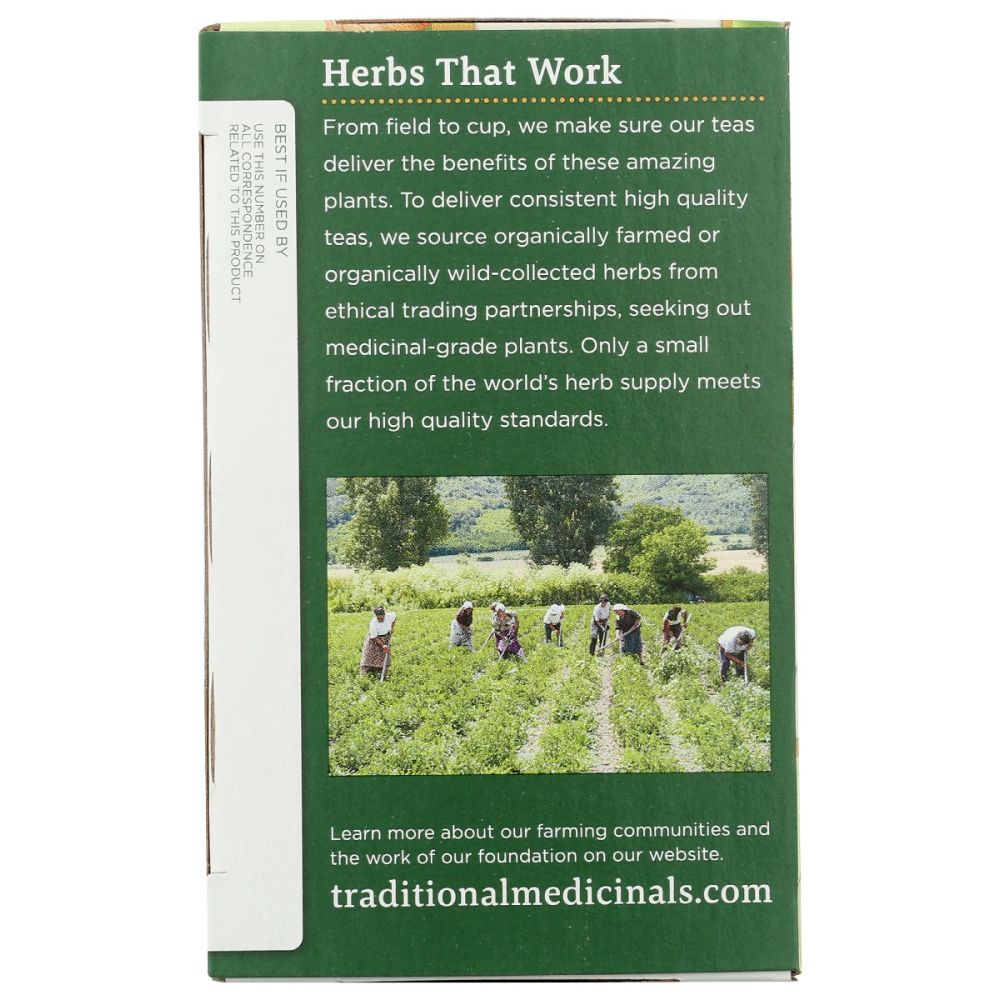 TRADITIONAL MEDICINALS: Organic Turmeric With Meadowsweet and Ginger Tea, 16 bg