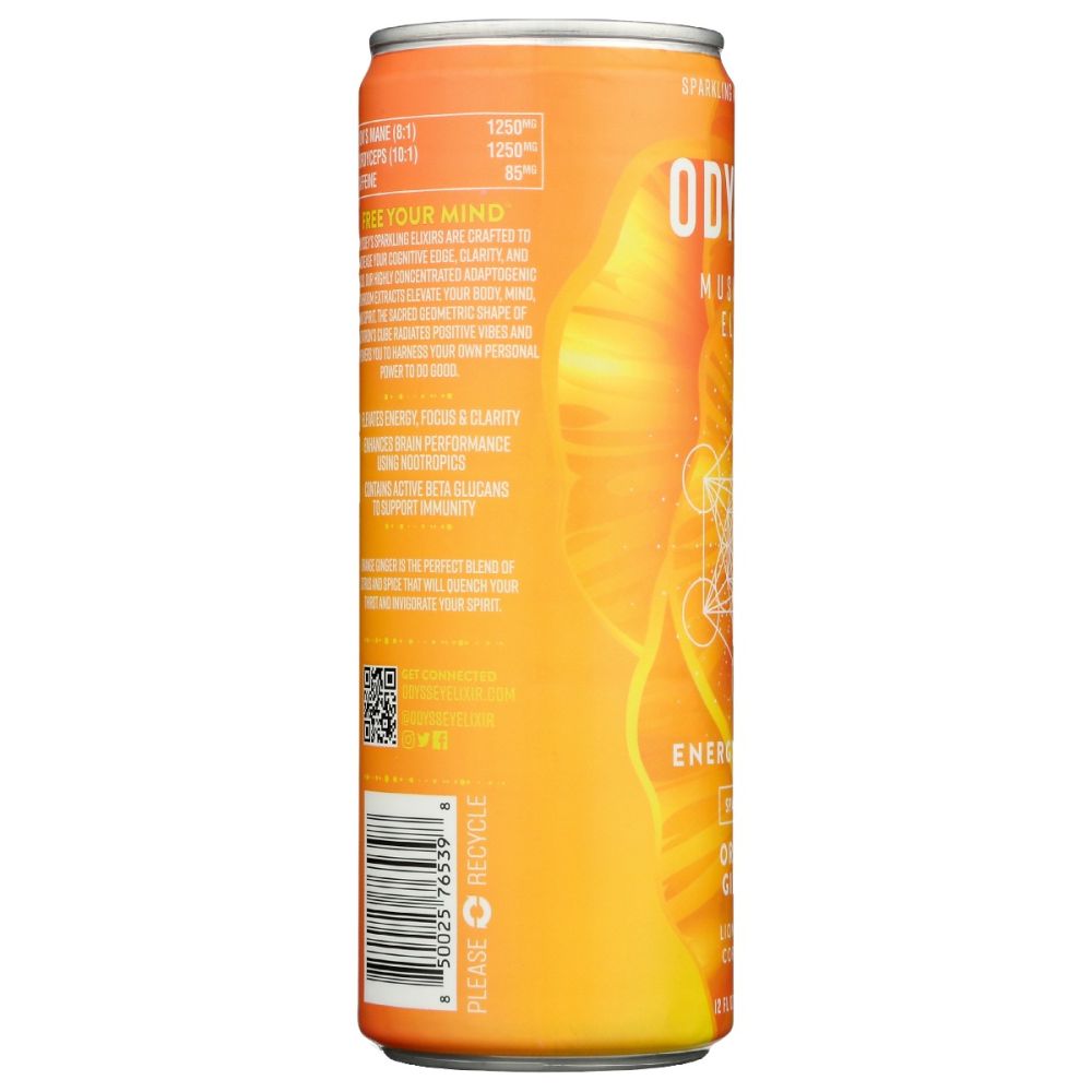 ODYSSEY ELIXIR: Energy Plus Focus Orange Ginger, 12 fo